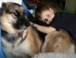 Dog and Baby Expert Offers Parents a Free Webinar for Dog Bite...